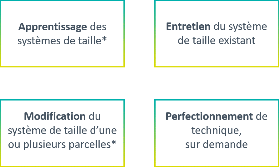 Services de Taille de Vigne : Apprentissage et Entretien Diagramme en quatre parties sur l'apprentissage, l'entretien, la modification et le perfectionnement des systèmes de taille viticole.